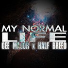 Picture for song 'Normal Life' by artist 'Geisha Goonies'