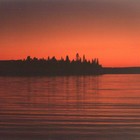 Picture for song 'Red Moon - The Scolars' by artist 'Geoff Judges'