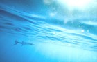 Picture for song 'The Dive' by artist 'George Megas'