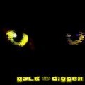 Picture for song 'America (Original mix)' by artist 'GOLD DIGGER'
