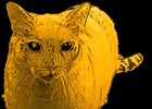 Picture for song 'You-me-us' by artist 'Golden Cat Productions'