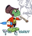 Picture for song 'The Cricket' by artist 'Golden Lion Marmoset'