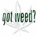 Picture for song 'Get High' by artist 'G-Zus Production'