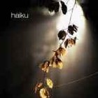Picture for song 'Flying' by artist 'haiku (DK)'