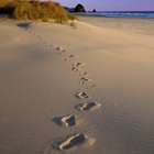 Picture for song 'Here We Go' by artist 'Hardheaded'