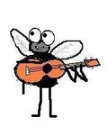 Picture for song 'The Bugman' by artist 'Hobo Fly'