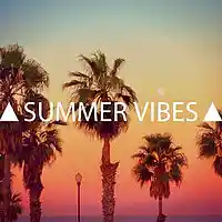 Picture for song 'Summer Vibes' by artist 'Holiday On The Track'