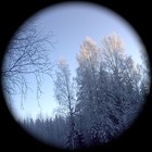 Picture for song 'Turvapaikan löydän luotasi-I find a refuge in yo' by artist 'Hospital Choir in Helsinki'