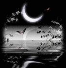 Picture for song 'Shang Xian Yue' by artist 'House of Illusions'