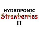 Picture for song 'Chuck It!' by artist 'Hydroponic Strawberries'
