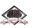 Picture for song 'Steady Knockin'' by artist 'Impregnated Minds Productions'