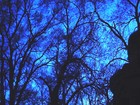 Picture for song 'Fear No One' by artist 'Infinity Dreams Productions'