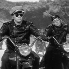 Picture for song '*NEW* The Timid Wild One w/ Hook 2012 (FREE DL)' by artist 'Insurgent Beats'