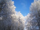 Picture for song 'Midwinter' by artist 'Island'