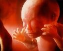 Picture for song 'In her Womb' by artist 'Jae 0ne'