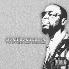 Picture for song 'Doin' It featuring Ceelo Green ( of Goodie Mob)' by artist 'Jahalla'