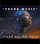 Picture for song 'Trunk Muzic (Prod by Jcolt007)' by artist 'jcolt007'