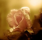 Picture for song 'NoSide' by artist 'Jeramy Hollow'