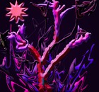 Picture for song 'No Blues for Baby' by artist 'Joani Paige'