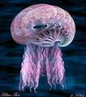 Picture for song '10000 Leagues beneath the Sea with Hallucinogens' by artist 'Joel McLean'