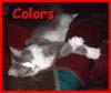 Picture for song 'Colors' by artist 'John Fiore'