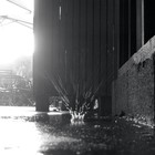 Picture for song 'Rain' by artist 'John Prosser'