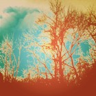 Picture for song 'Self Defense Wasn't My Plan.mp3' by artist 'Josh Clevinger'