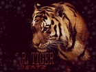 Picture for song 'Make away somehow' by artist 'Jr Tiger Beatz'