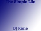 Picture for song 'The Simple Life' by artist 'kaneetic'