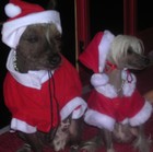 Picture for song 'Trust' by artist 'KB Bren'