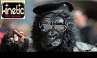 Picture for song 'DON kee KONG' by artist 'KINETIC LIFE'