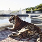 Picture for song 'Time (Collab w/ Abe Beats)' by artist 'Konex'