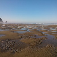 Picture for song 'TidePools & Waves (Kotojazz), Chris Kenji' by artist 'Koto Jazz'