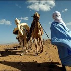 Picture for song '2AREG LIFE HOT!!' by artist 'KraterrMuzik'