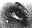 Picture for song 'I'd like to...' by artist 'Krsna Sounds'