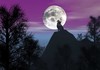 Picture for song 'Lonesome' by artist 'Kuren'