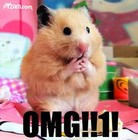 Picture for song 'Reservation' by artist 'KV (US)'