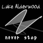 Picture for song 'Never Stop' by artist 'Lake Alderwood'