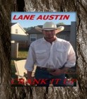 Picture for song 'CRANK IT UP' by artist 'LANE AUSTIN'