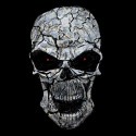 Picture for song 'Flawed' by artist 'LaughingSkull'