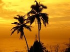 Picture for song 'Cali Dreamz ** Free DL**' by artist 'L-CRUZAE BEATZ'