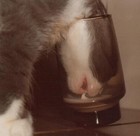 Picture for song 'Industrial Ashes' by artist 'Left Ear Blind'