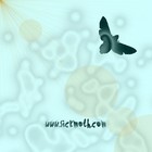 Picture for song 'Remothber' by artist 'Lemon Shaft'