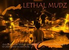 Picture for song 'You Lied Again' by artist 'lethal mudz'