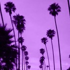 Picture for song '(NEW) Summer In Cali' by artist 'LEXI BANKS'
