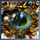 Picture for song 'The Divine Seer' by artist 'Liquid Universe'