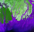 Picture for song 'Delta' by artist 'logiq'