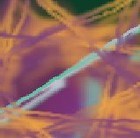 Picture for song 'Dancing Hounds' by artist 'Loren'