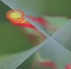 Picture for song 'Dark Angels' by artist 'Loren'