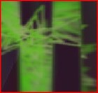 Picture for song 'Sizzlographation' by artist 'Loren'